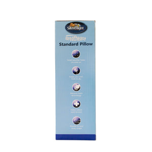 Standard Breatheasy Memory Foam Pillow - Pillow